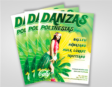 Flyer Danzas